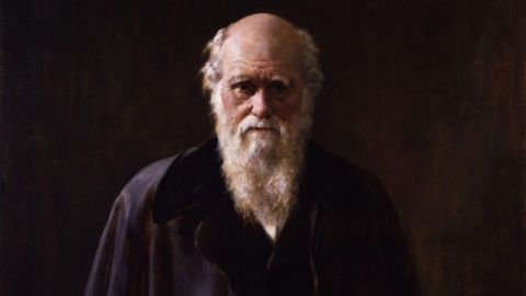 1881 portrait of Charles Darwin; Credit: John Collier