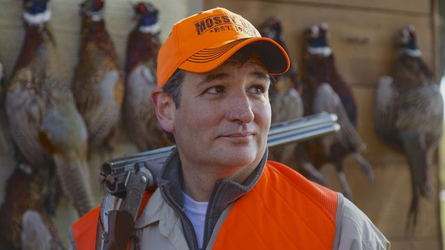 Sen. Ted Cruz, R-Texas, stands in front of pheasants that were shot during a hunt hosted by Rep. Steve King, R-Iowa, on Saturday, Oct. 26, 2013, in Akron, Iowa. Cruz attended the Iowa GOP's annual fundraising dinner in Des Moines, Iowa, on Friday. (AP Photo/Nati Harnik)