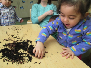 Pre-K students in Lincoln, Nebraska, play with, and learn about, earthworms. (Courtesy of Educare.)