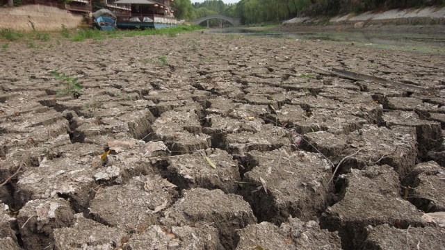 View of the cracked bed of the nearly dried-up Qingni River during a drought in Xuchang city, central Chinas Henan province, 29 July 2014. The worst drought since 1951 hit central Chinas Henan province. About 245,000 people face shortages of drinking water, while 1.54 million hectares of grain due to be harvested in the autumn are suffering from the drought. More than half of Henan is suffering serious problems with 20 percent of the land area rated extremely dry. More than 50 percent of the provinces small to medium rivers and 35 percent of its small reservoirs have dried up.