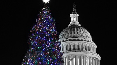 The 2012 Capitol Christmas Tree is seen after Speaker of the House Rep. John Boehner (R-Ohio) lit it up in Washington, DC. (Photo by Alex Wong/Getty Images)