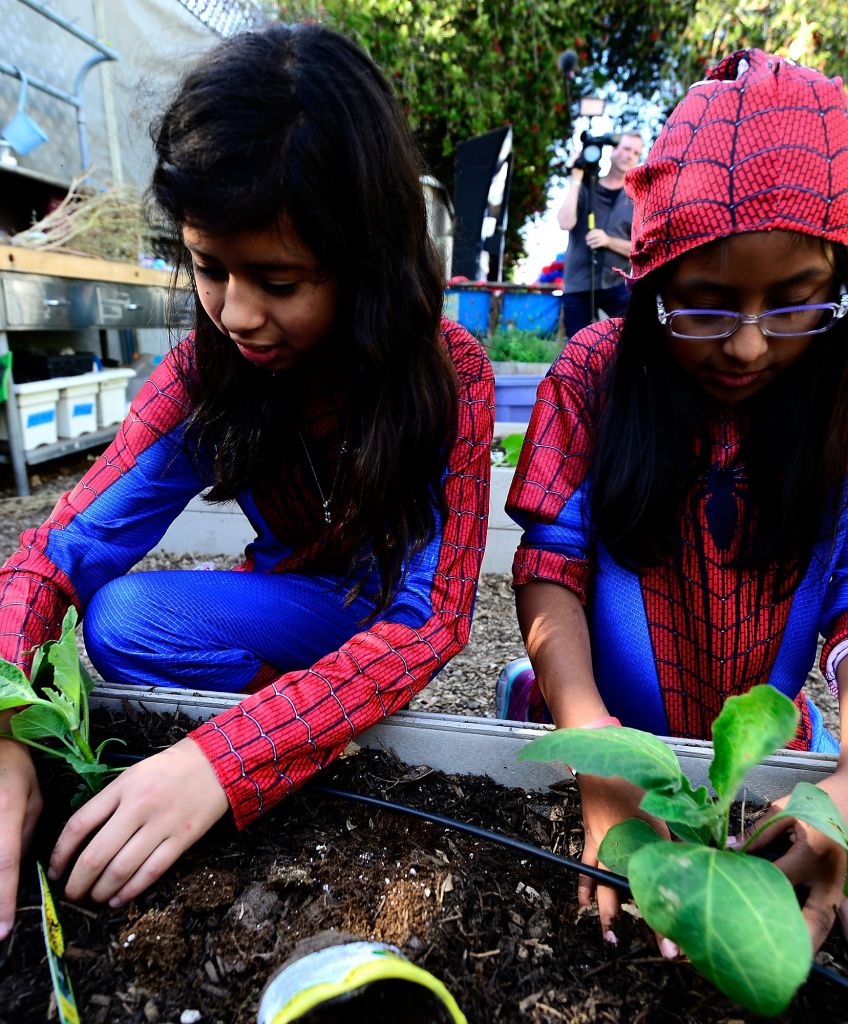 Students at Larchmont Charter School in Los Angeles celebrate Be Amazing Day with "Amazing Spider-Man" costumes Charter school supporters say they provide better education and opportunities. Others note that the growth of charters places a huge financial burden on traditional public schools. (Photo by Jerod Harris/Getty Images)