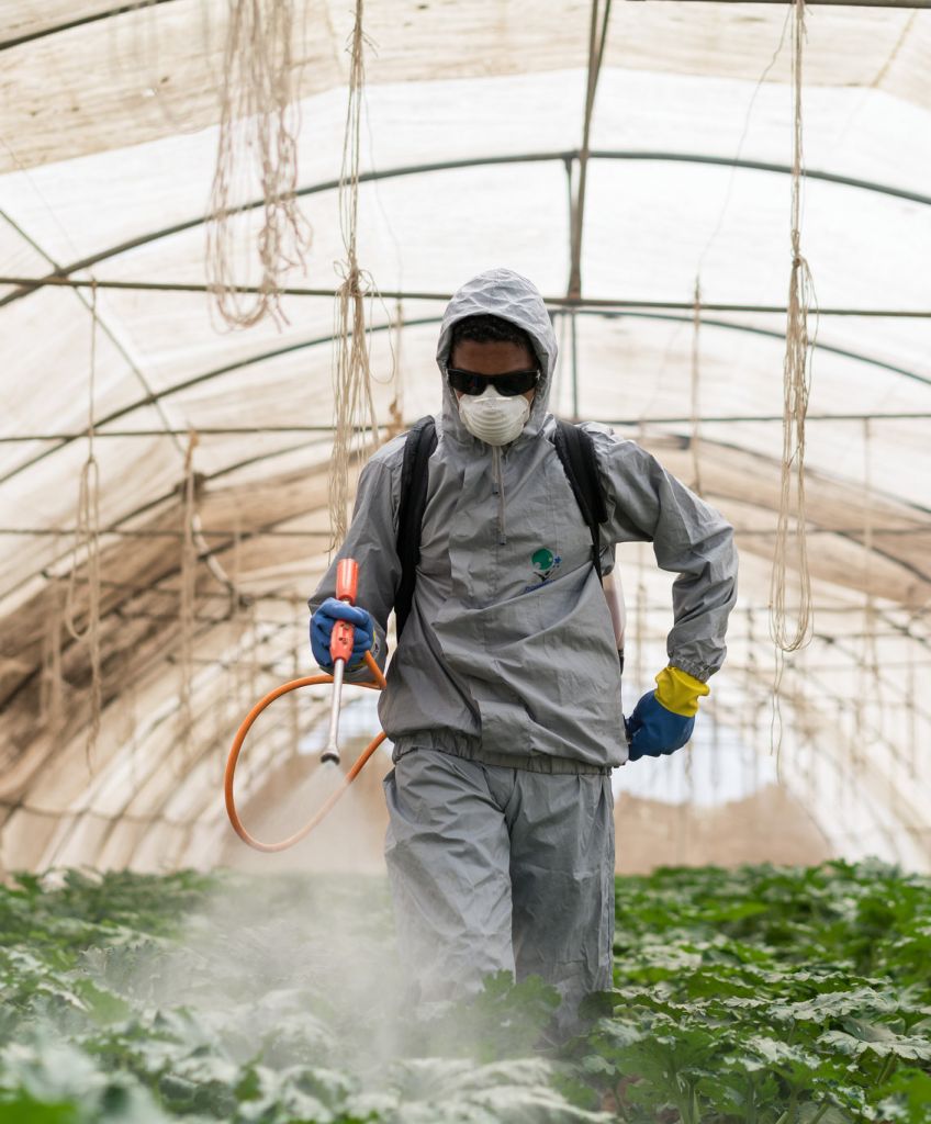 Pesticides help developing countries produce more food — but also take a toll on human health and the environment. (Photo by Thomas Cristofoletti/USAID/Flickr cc 2.0)
