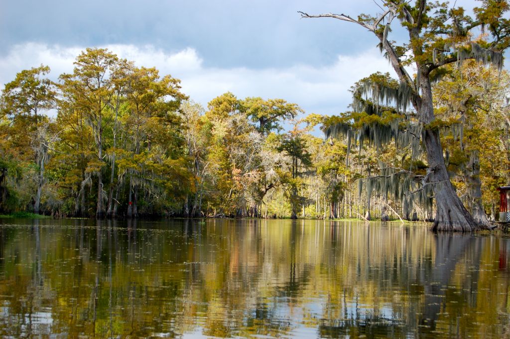 The Donald Trump Paradox In A Toxic Louisiana Bayou – Billmoyers.com