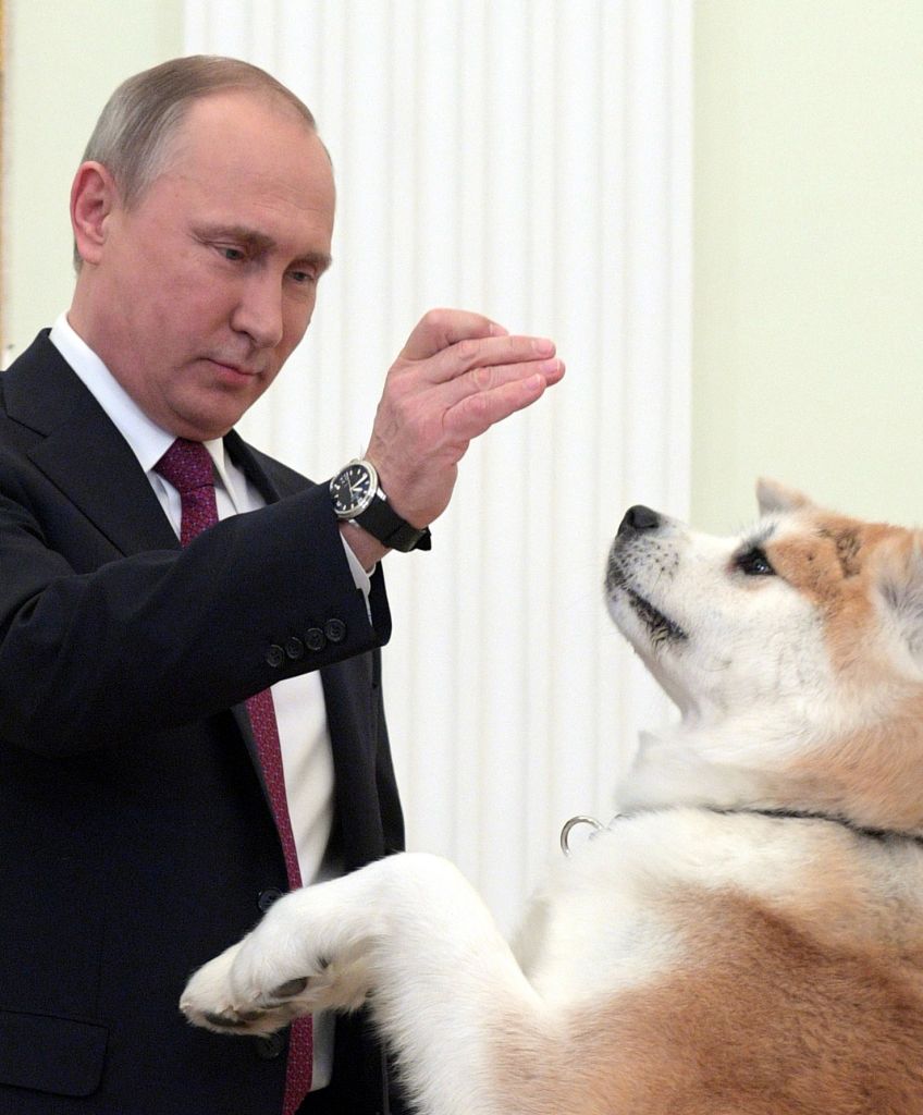 Russia's President Vladimir Putin with his Akita dog named Yume at the Kremlin. (Photo by Alexei Druzhinin/TASS via Getty Images)