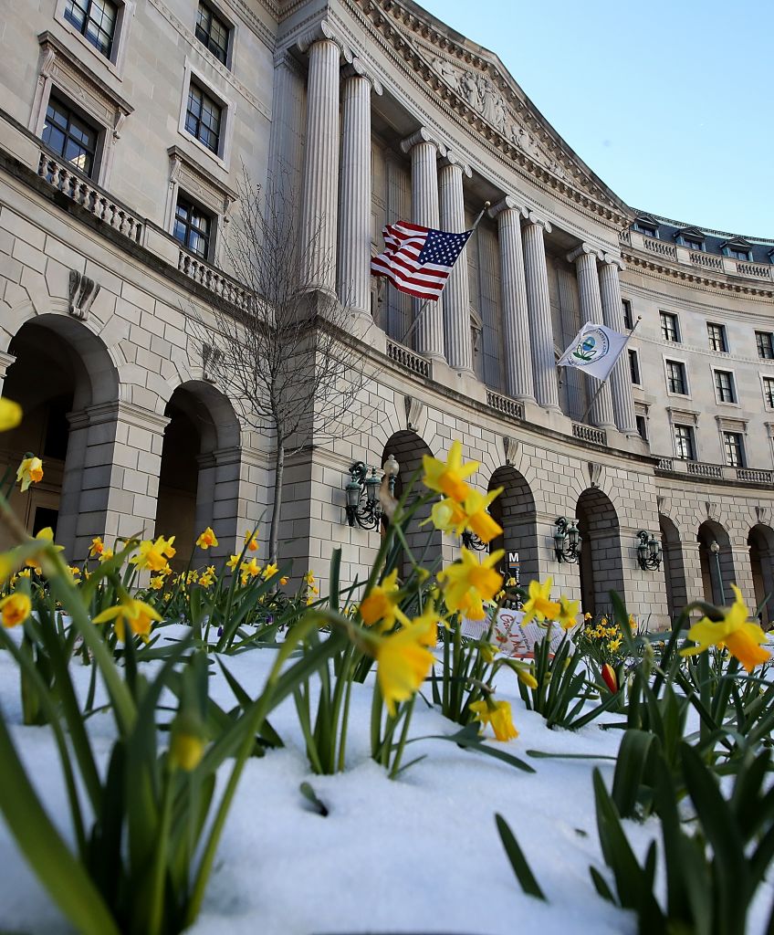 Flowers bloom outside the Environmental Protection Agency (EPA) headquarters on March 16, 2017. (Photo by Justin Sullivan/Getty Images)