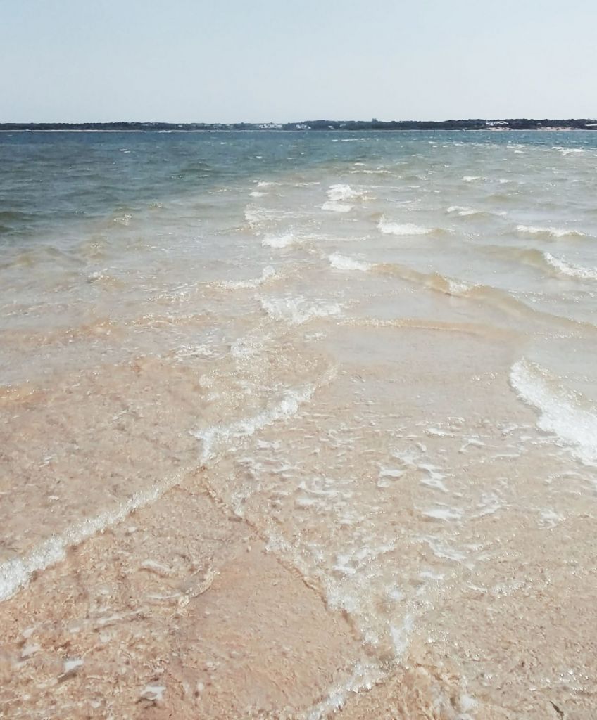 Photo by Andrew Wolff on Unsplash