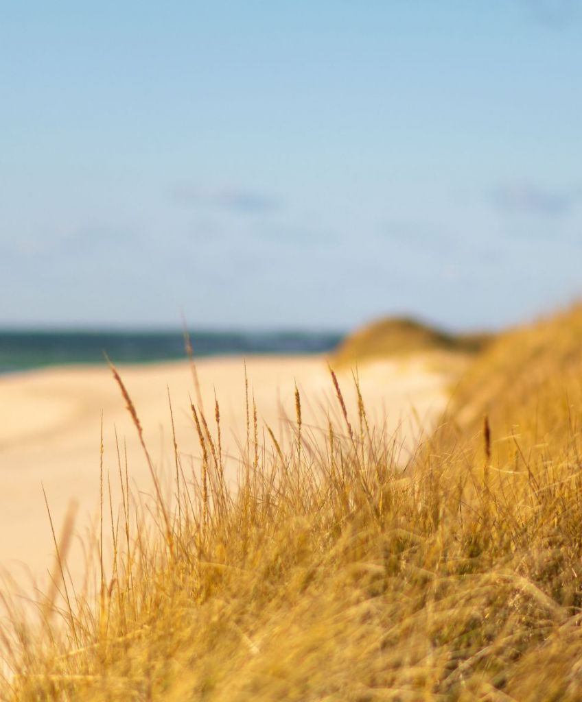 Photo by Jack Cohen on Unsplash