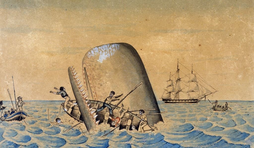 5 Reasons Why Moby-Dick Just Won't Die ‹ Literary Hub